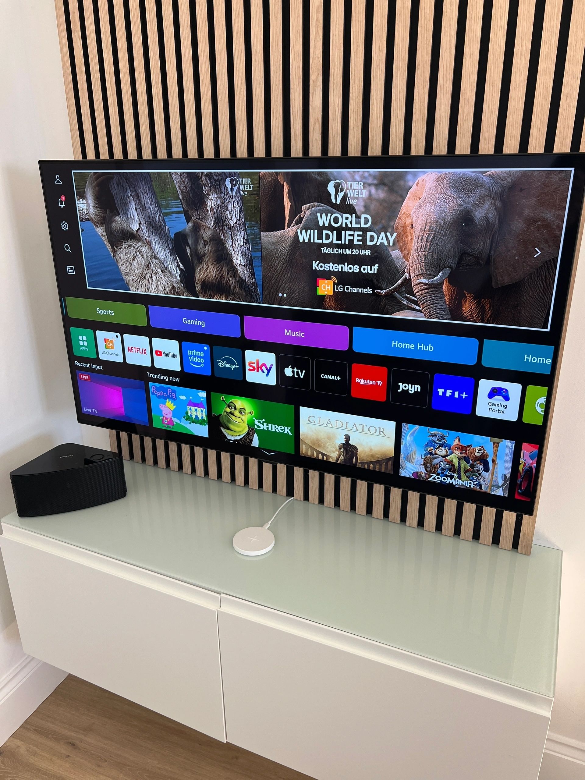 OLED TV & Bluetooth Audio