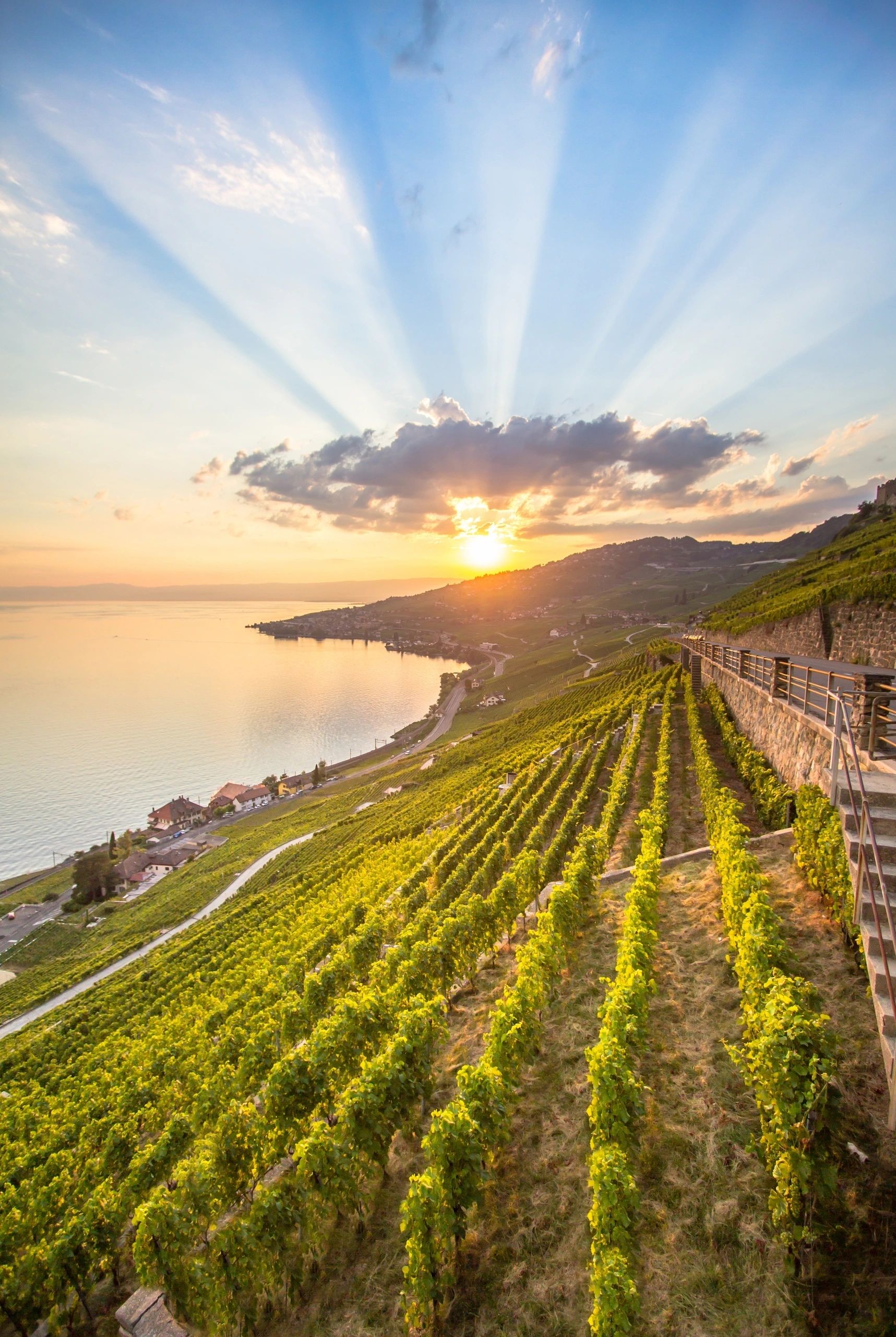 Lavaux sunset