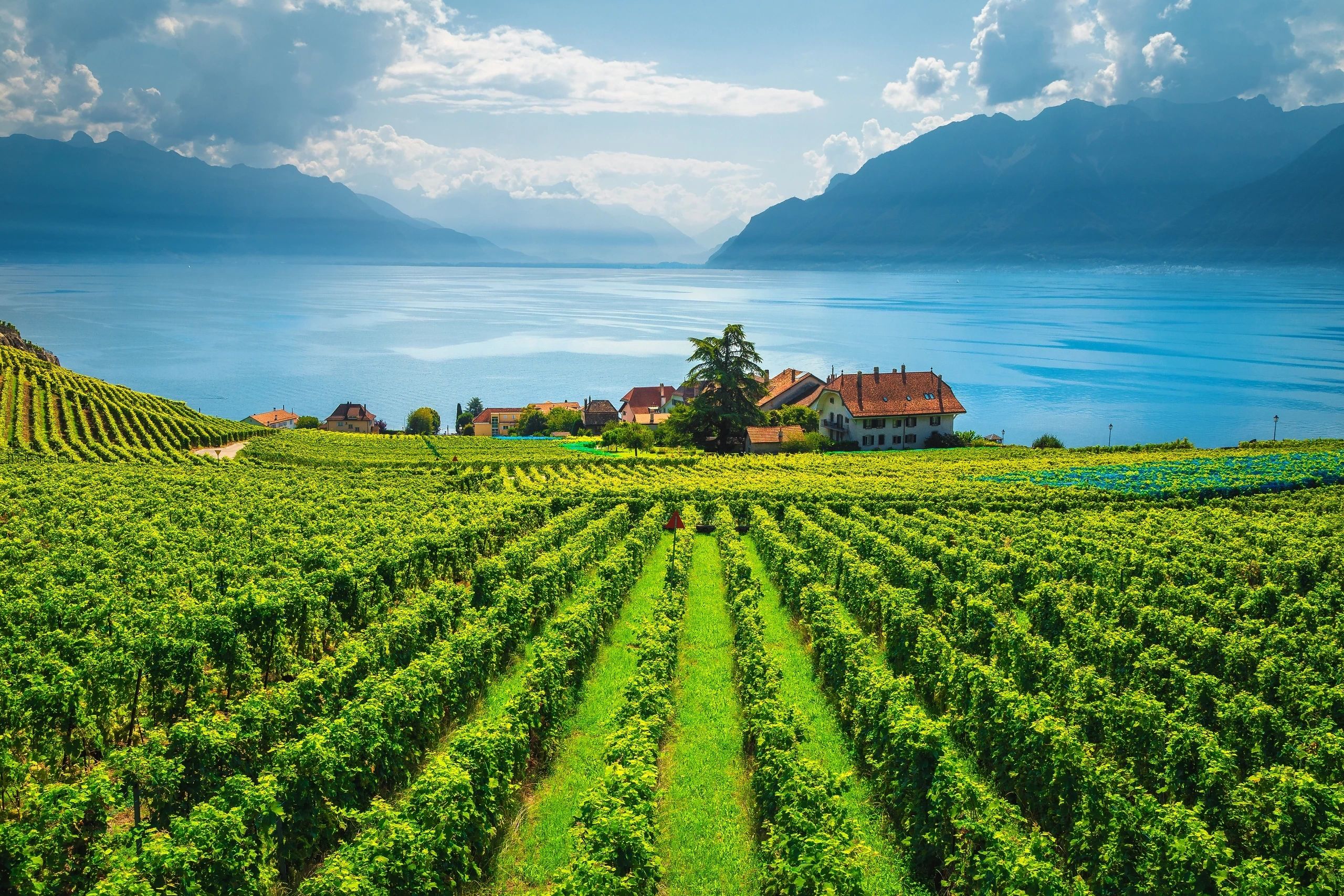 Swiss Riviera