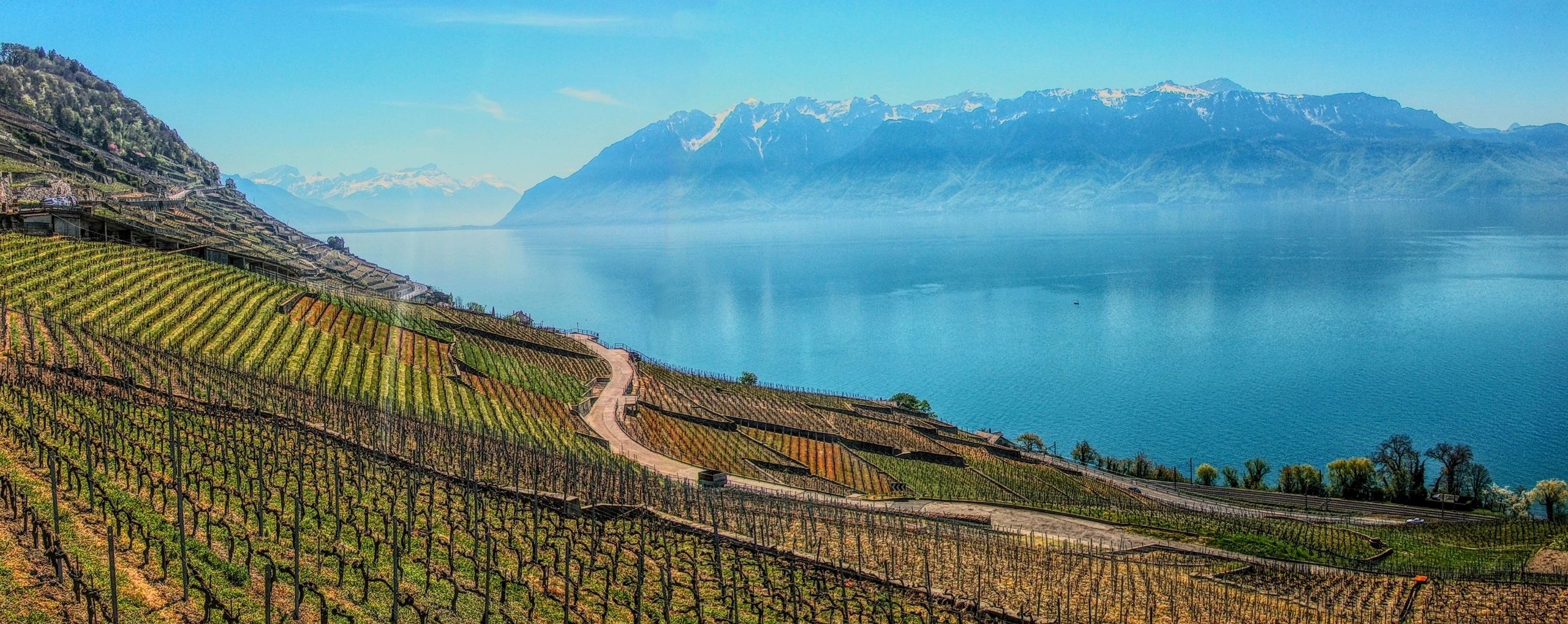 Lake Geneva and Alps